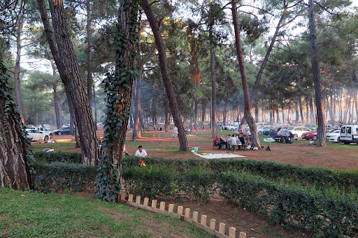 Düzlerçamı Tabiat Parkı